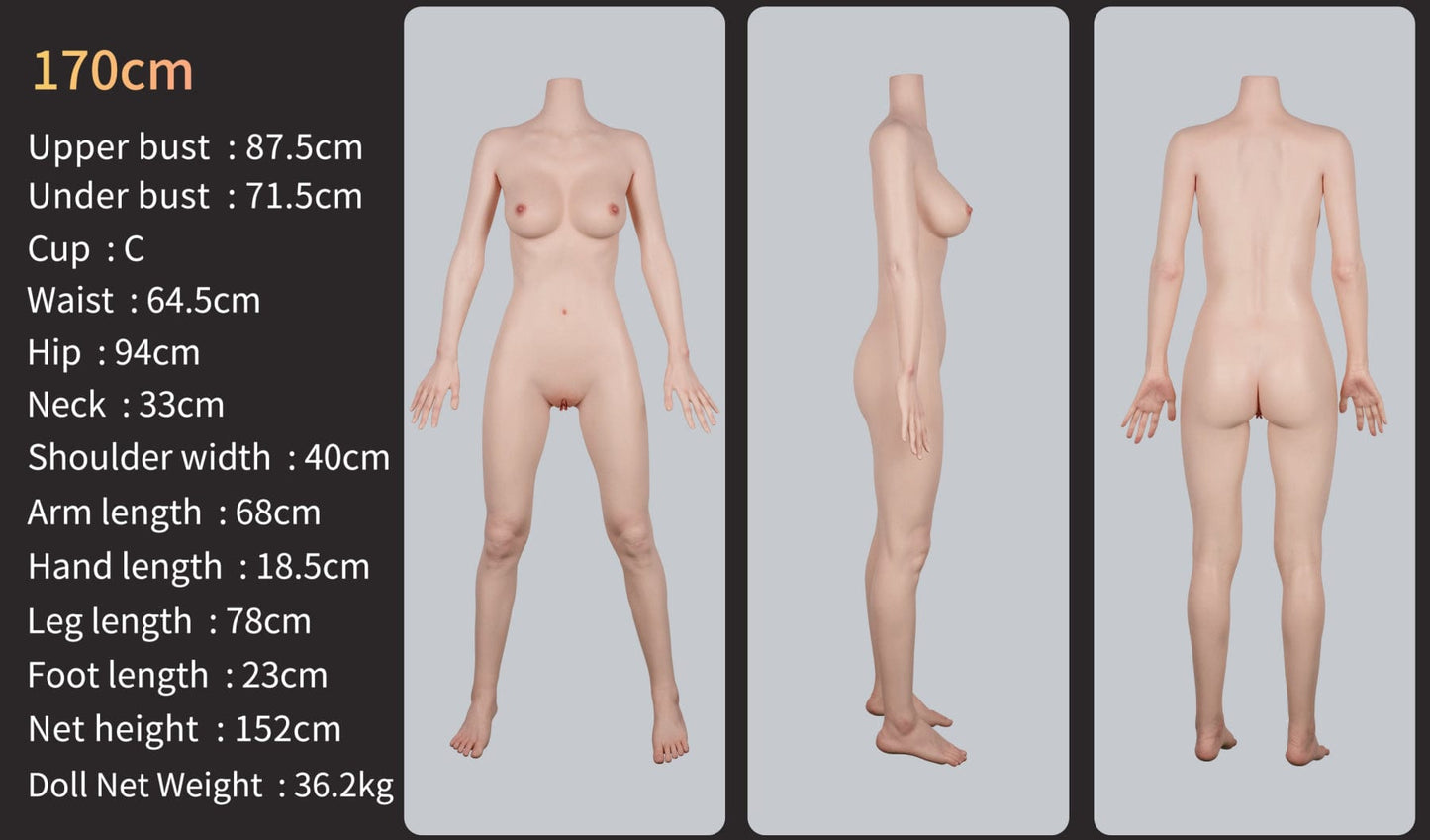 Doll Authority SEX DOLL 5'6" (170cm) - C-Cup Silicone Body Asalia Premium Realistic Love Doll - GE45_4 - Zelex Inspiration Series