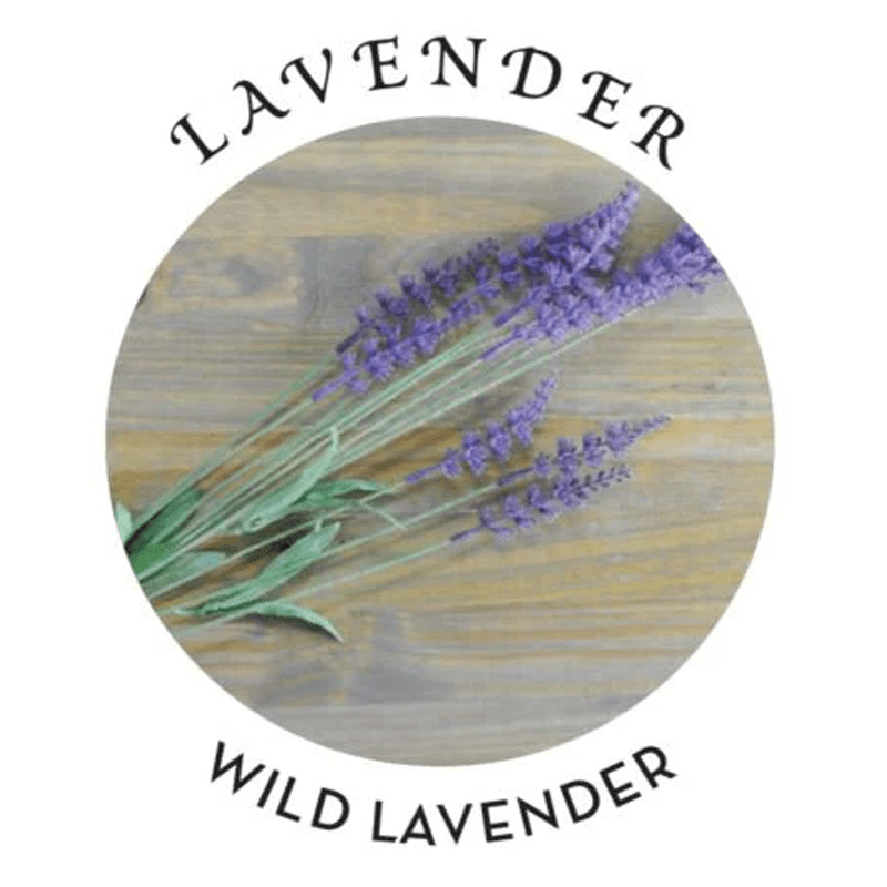 Earthly Body Lubes Massage Oil Lavender Scent 2 fl oz / 60 ml