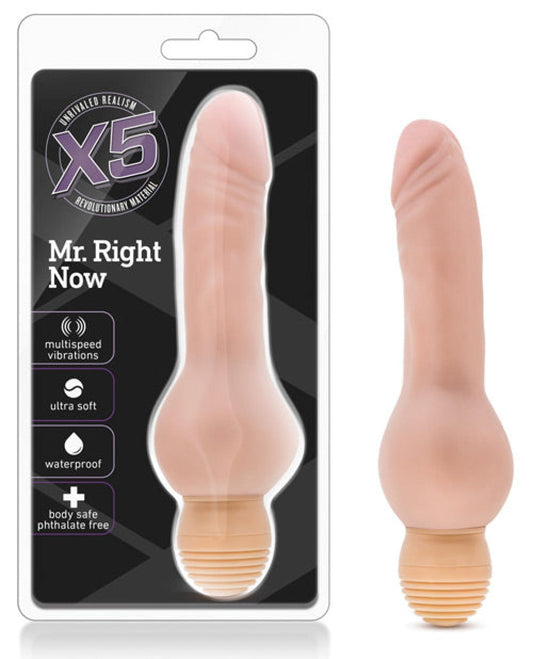 Doll Authority Dongs & Dildos Blush X5 Mr Right Now - Beige