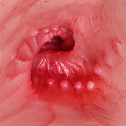 Jennifer 74cm Fair Torso Sex Doll - Tantaly (USA Stock)