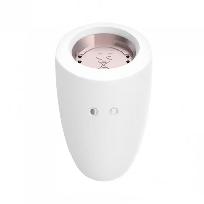 Satisfyer Vibrators Marvelous Four