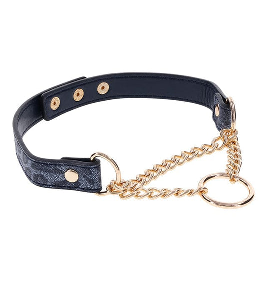 Sex & Mischief BDSM Cougar Day Collar