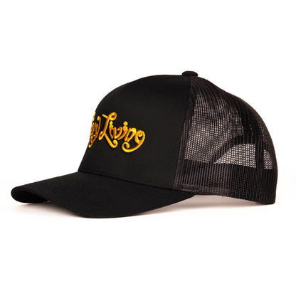 Sexy Living Accessories / Miscellaneous Hat - Black/Gold